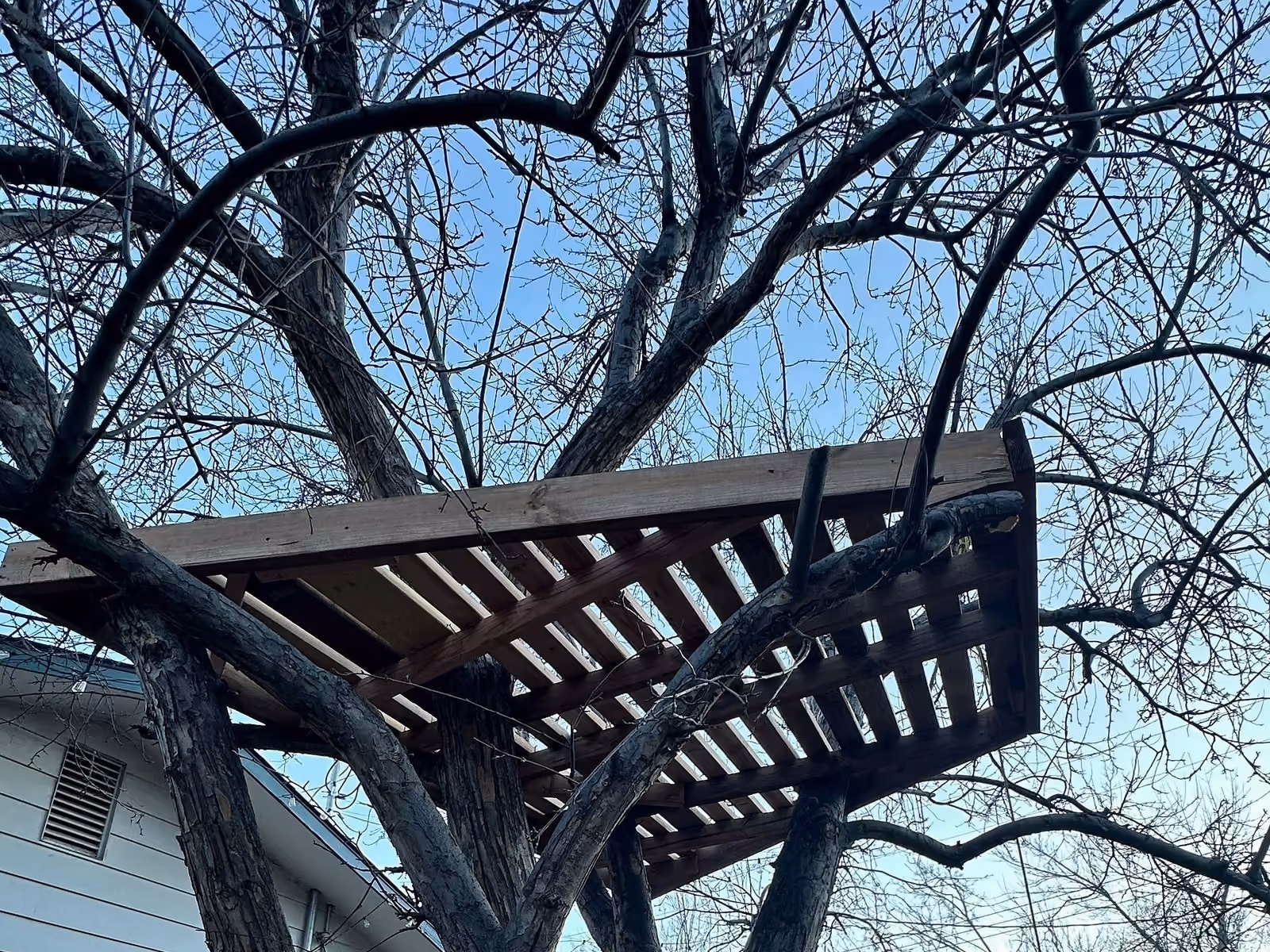 Underside framing and supports of the elevated tree-house platform