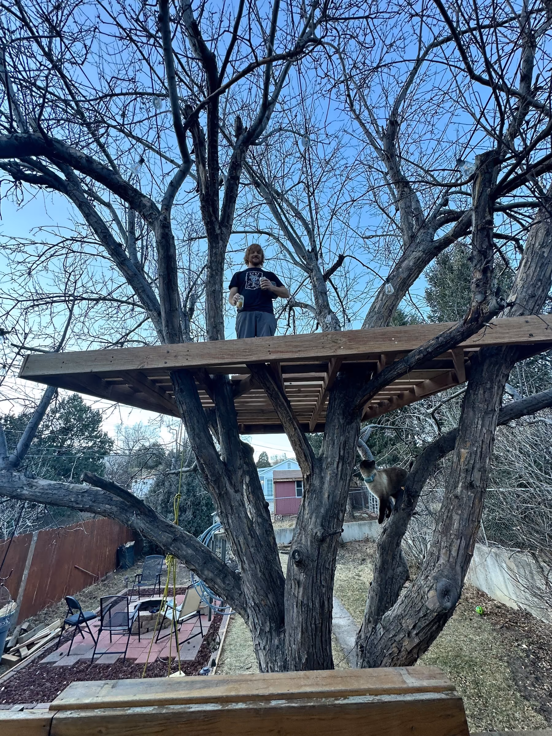 Construction progress with a person standing on the tree-house platform