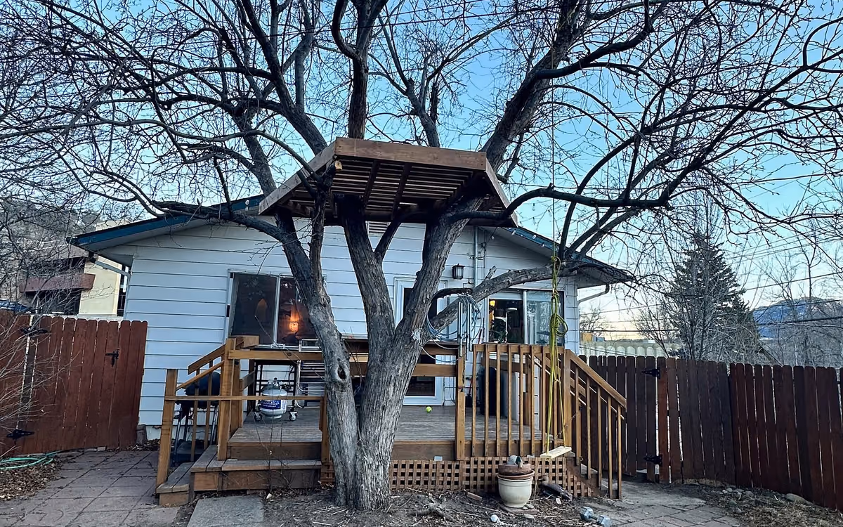 Completed elevated tree-house platform built around a mature tree