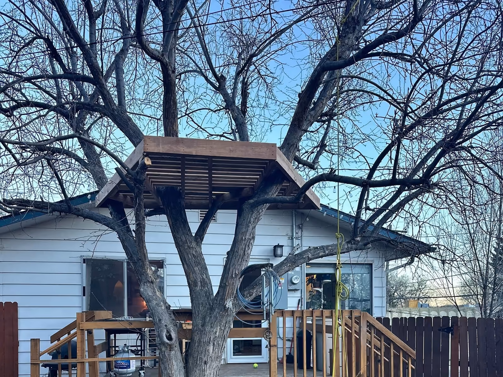 Closer view of the completed tree-house platform and its wood railing